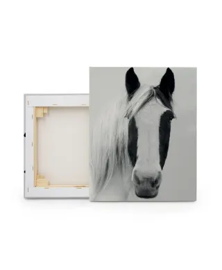 Nordic Horse I - obraz na płótnie