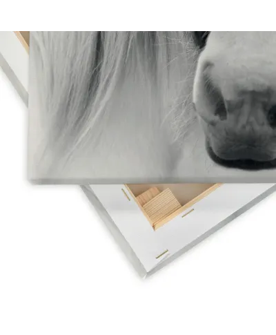 Nordic Horse I - obraz na płótnie