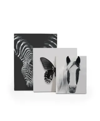 Nordic Horse I - obraz na płótnie