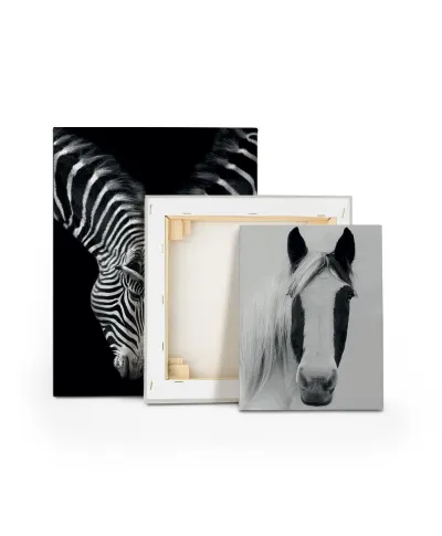 Nordic Horse I - obraz na płótnie