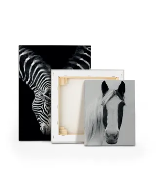 Nordic Horse I - obraz na płótnie