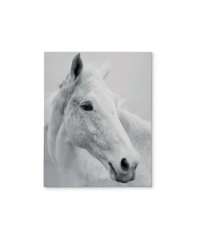 Nordic Horse II - obraz na płótnie