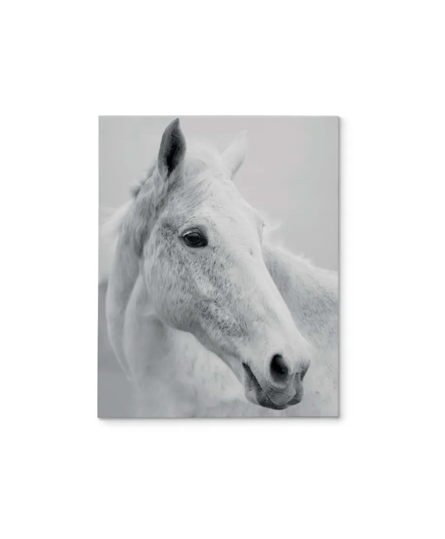 Nordic Horse II - obraz na płótnie