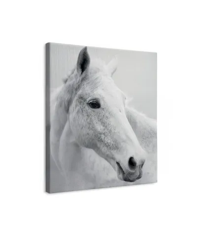 Nordic Horse II - obraz na płótnie