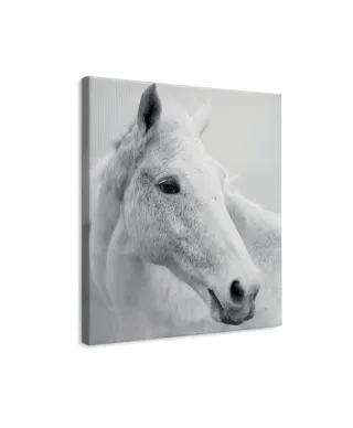 Nordic Horse II - obraz na płótnie