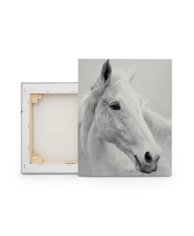 Nordic Horse II - obraz na płótnie