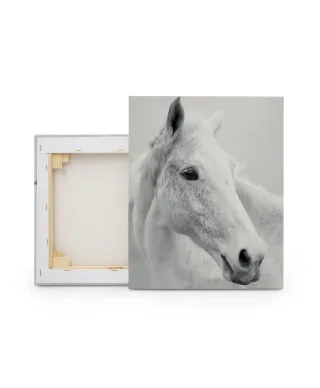 Nordic Horse II - obraz na płótnie