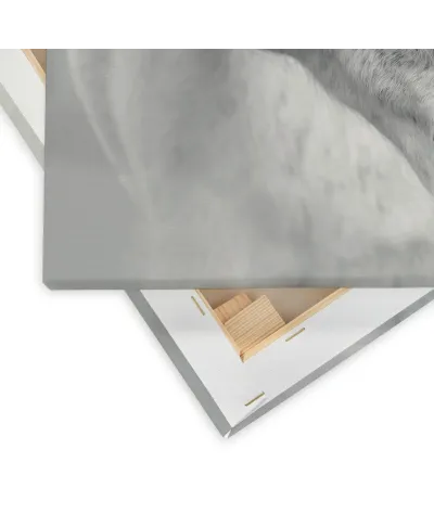 Nordic Horse II - obraz na płótnie