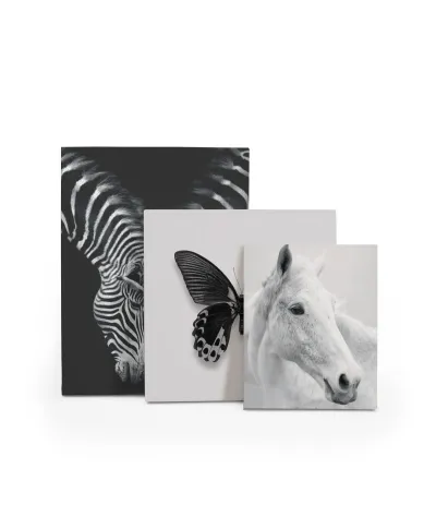 Nordic Horse II - obraz na płótnie