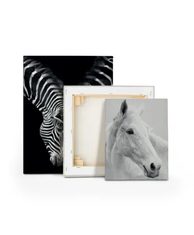 Nordic Horse II - obraz na płótnie