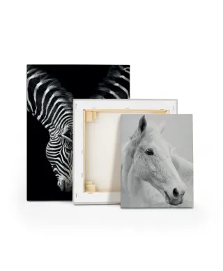 Nordic Horse II - obraz na płótnie