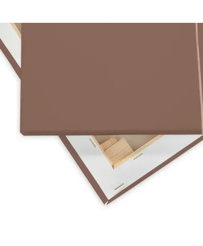 Stem Silhouette I - obraz na płótnie