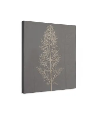 Stem Silhouette II - obraz na płótnie