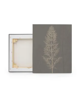 Stem Silhouette II - obraz na płótnie