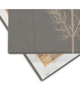 Stem Silhouette II - obraz na płótnie