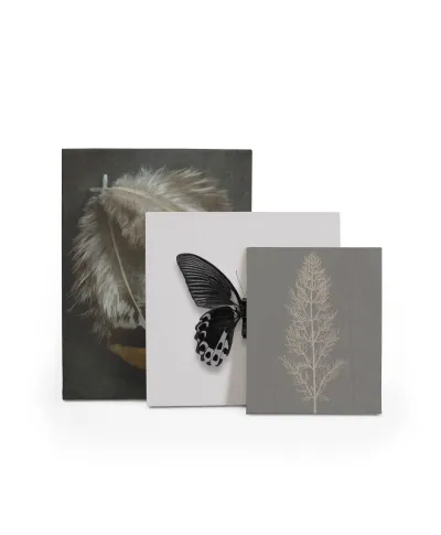 Stem Silhouette II - obraz na płótnie