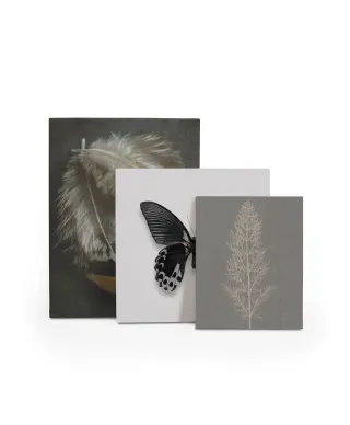 Stem Silhouette II - obraz na płótnie