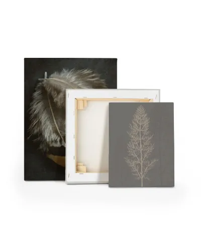 Stem Silhouette II - obraz na płótnie