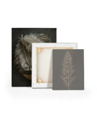 Stem Silhouette II - obraz na płótnie