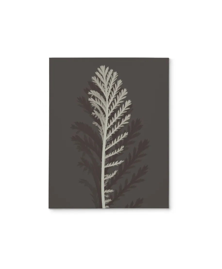 Stem Silhouette III - obraz na płótnie