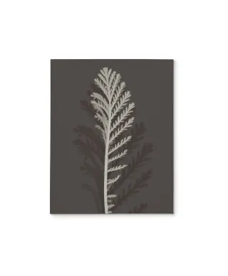 Stem Silhouette III - obraz na płótnie