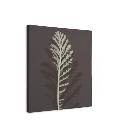 Stem Silhouette III - obraz na płótnie