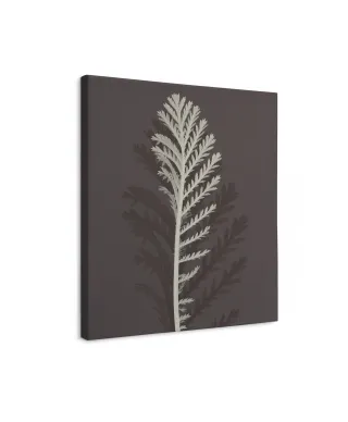 Stem Silhouette III - obraz na płótnie