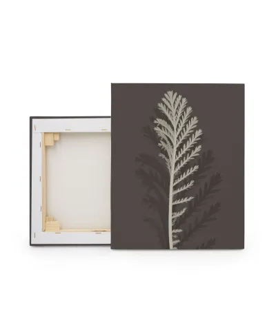 Stem Silhouette III - obraz na płótnie