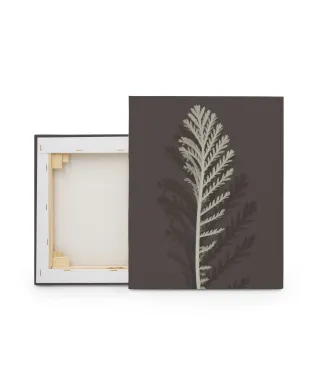 Stem Silhouette III - obraz na płótnie