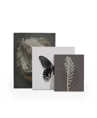 Stem Silhouette III - obraz na płótnie