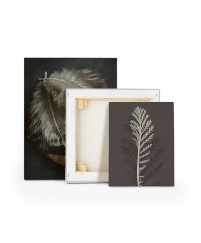 Stem Silhouette III - obraz na płótnie