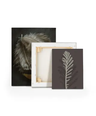 Stem Silhouette III - obraz na płótnie