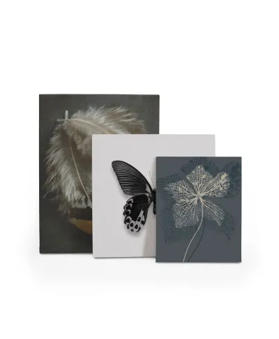 Stem Silhouette IV - obraz na płótnie