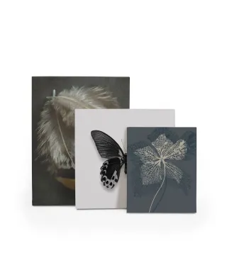 Stem Silhouette IV - obraz na płótnie