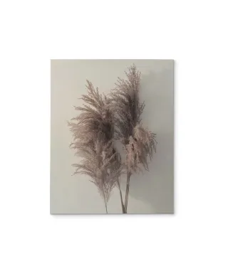 Pampus Grass I - obraz na płótnie