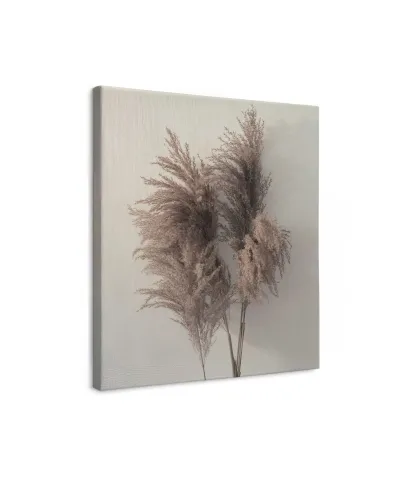 Pampus Grass I - obraz na płótnie