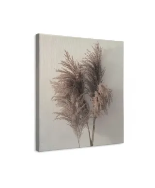 Pampus Grass I - obraz na płótnie