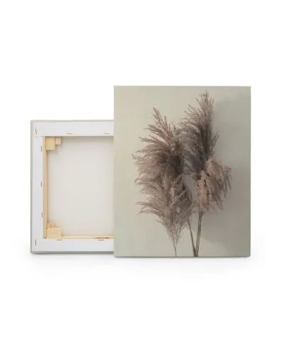 Pampus Grass I - obraz na płótnie