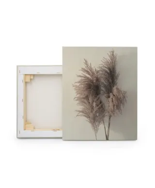 Pampus Grass I - obraz na płótnie