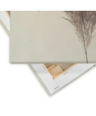 Pampus Grass I - obraz na płótnie