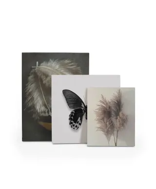 Pampus Grass I - obraz na płótnie