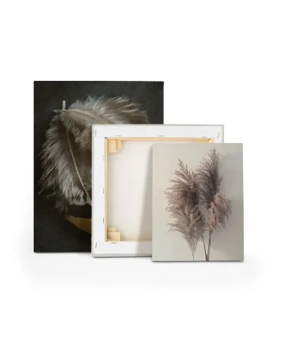 Pampus Grass I - obraz na płótnie