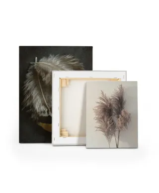 Pampus Grass I - obraz na płótnie