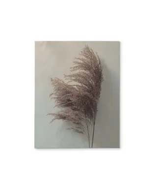 Pampus Grass II - obraz na płótnie