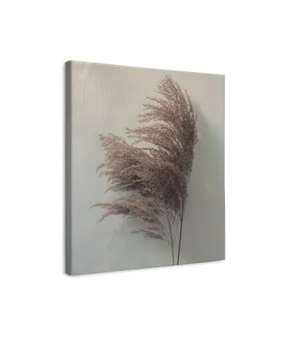 Pampus Grass II - obraz na płótnie