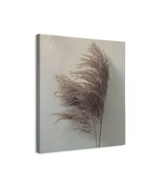 Pampus Grass II - obraz na płótnie