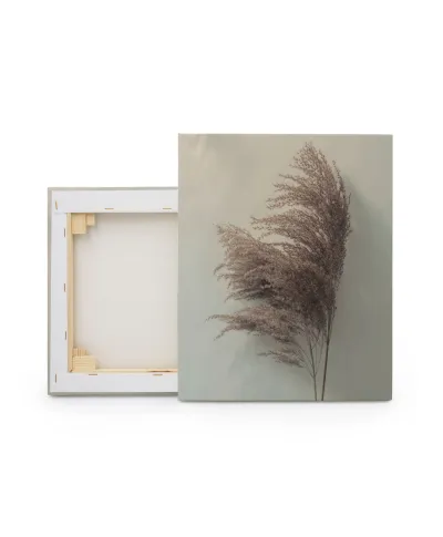 Pampus Grass II - obraz na płótnie