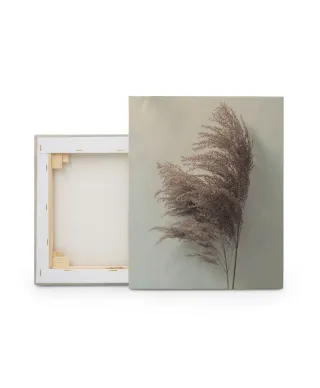 Pampus Grass II - obraz na płótnie