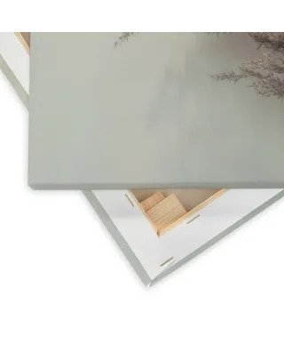 Pampus Grass II - obraz na płótnie