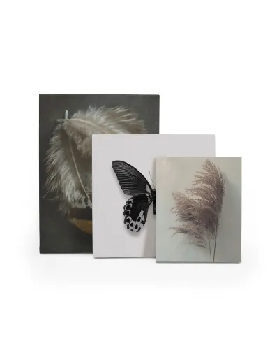 Pampus Grass II - obraz na płótnie